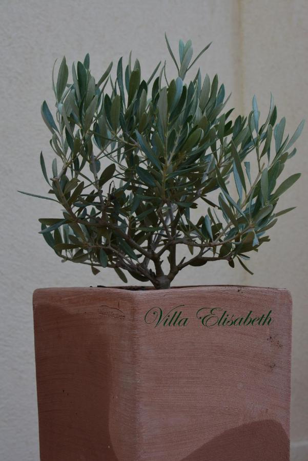 Villa Elisabeth 普罗旺斯地区艾克斯 外观 照片